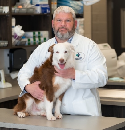 Dr. Chuck Gill, DVM - Paradise Animal Hospital