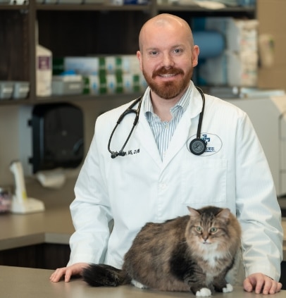 Dr. Mitch Belue - Paradise Animal Hospital